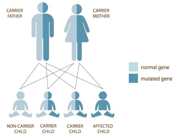 Carrier Biology Genetics